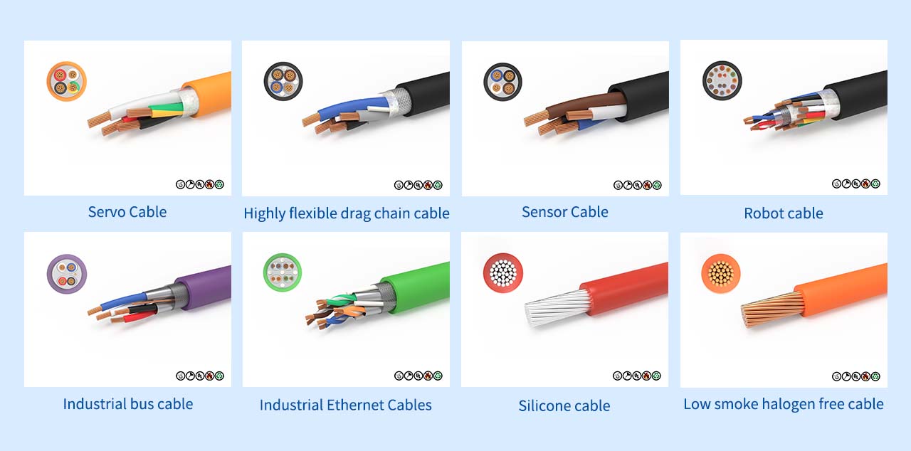 Company Products