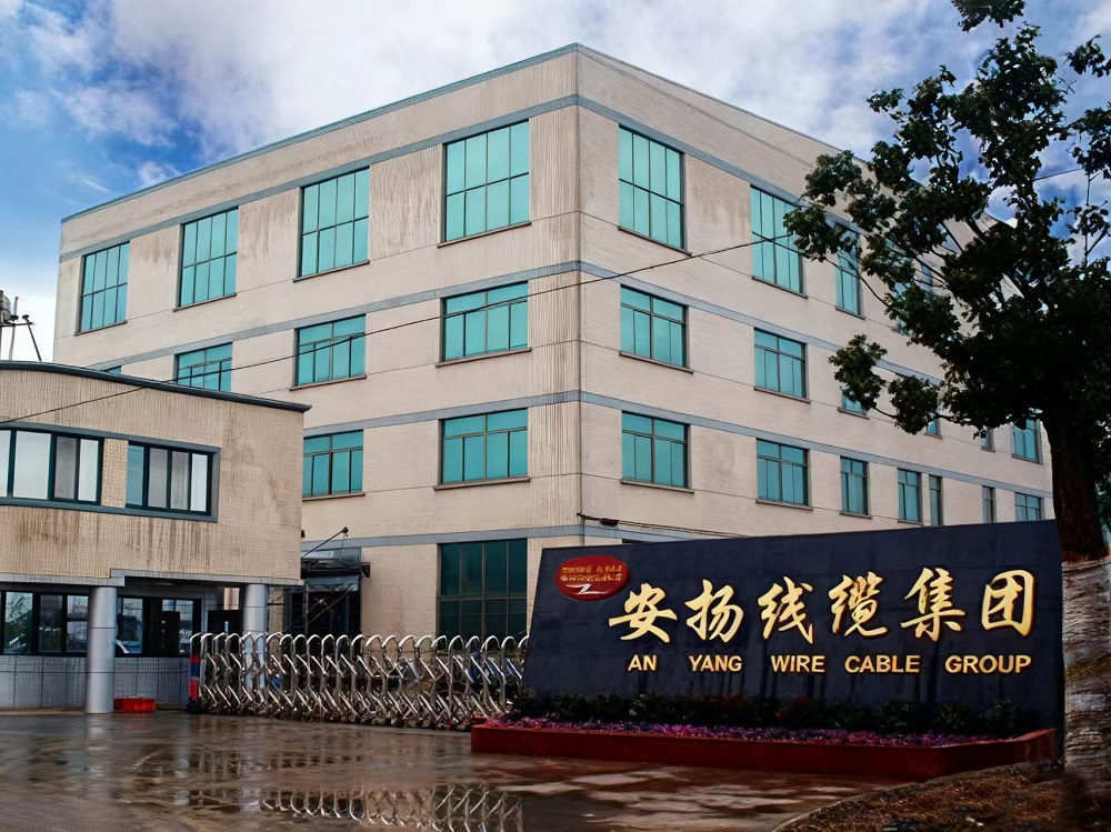 Company Profile